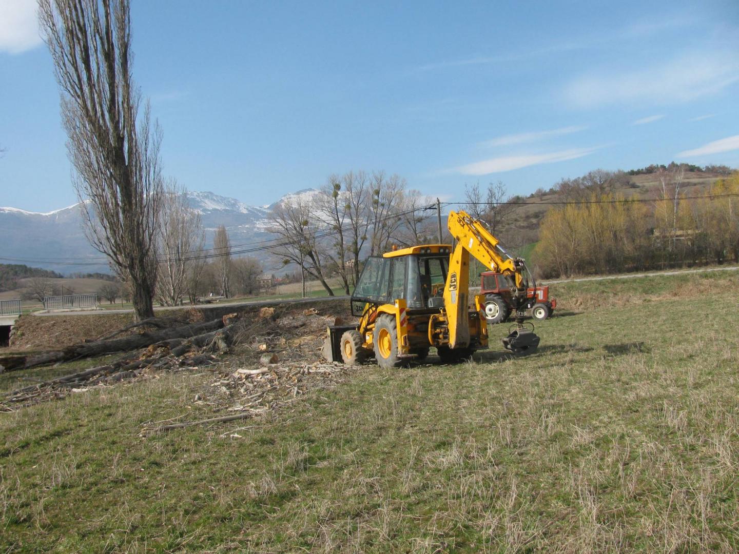 Abattage d'arbre Gap